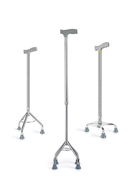 walking stick