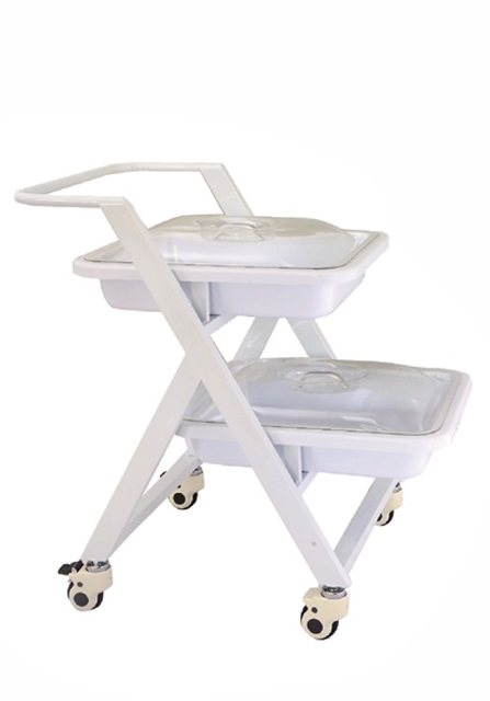 Endoscope Transfer Trolley